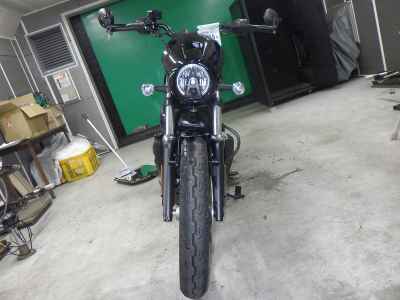 Harley-Davidson Nightster RH975S 2023
