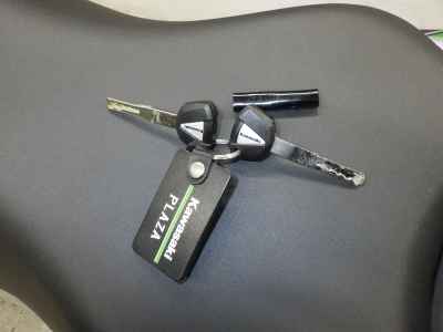 Kawasaki Ninja 7 Hybrid 2025