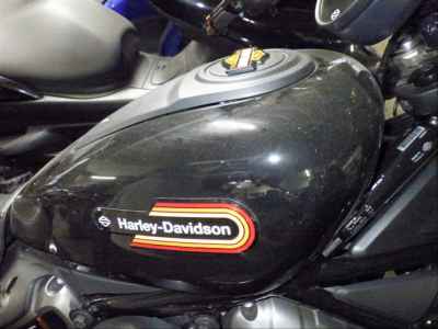 Harley-Davidson Nightster RH975S 2023
