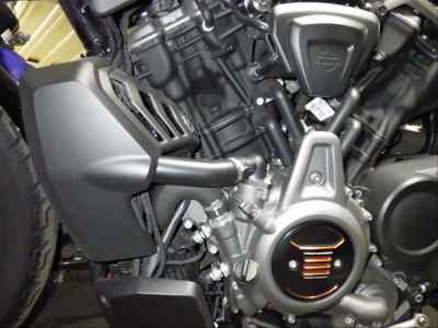 Harley-Davidson Nightster RH975S 2023