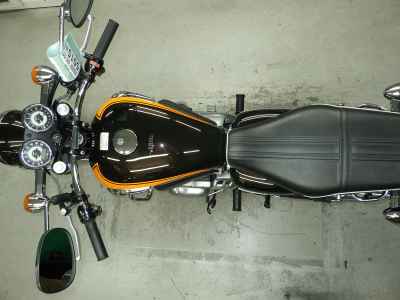 Kawasaki W800 2019