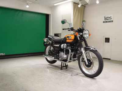 Kawasaki W800 2019