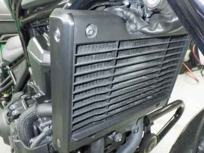 Honda Rebel CMX1100 DCT 2024