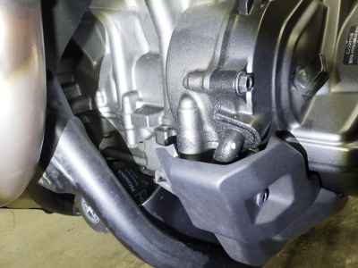 Honda Hawk 11 2022