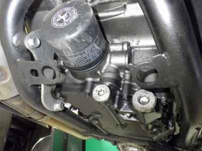 Honda Hawk 11 2022