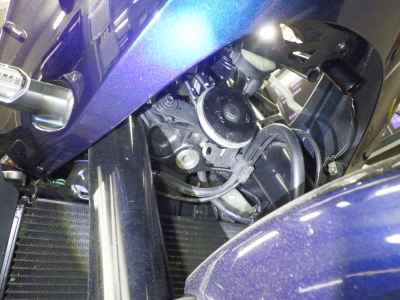 Honda Hawk 11 2022