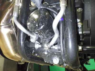 Royal Enfield Bear 650 2026