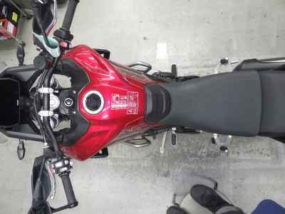 Triumph Tiger 900 GT Pro 2024