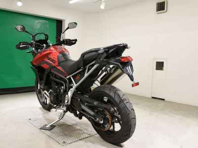 Triumph Tiger 900 GT Pro 2024