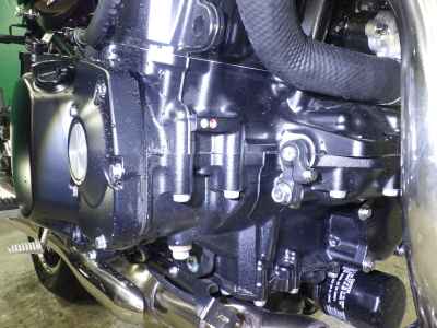 Kawasaki Z900RS 2025