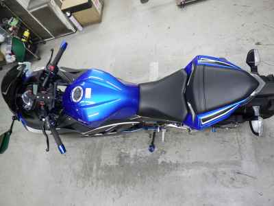 Kawasaki Ninja 250 2016
