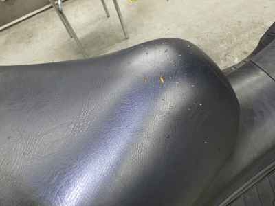 Honda Foresight EX 2005