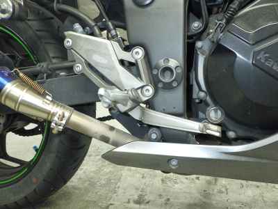 Kawasaki Ninja 250 2015