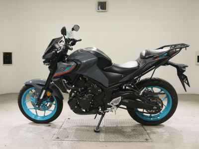 Yamaha MT-25 2022