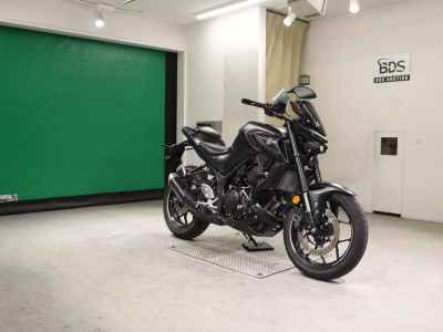 Yamaha MT-25 2021