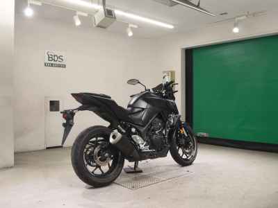 Yamaha MT-25 2021