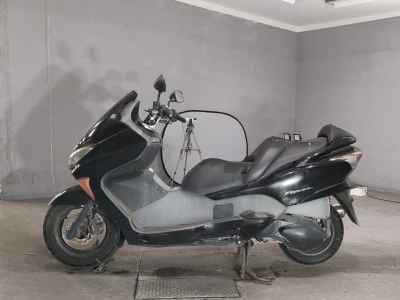 Honda Forza Z 2006