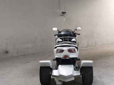 Honda Forza X Trike 2010