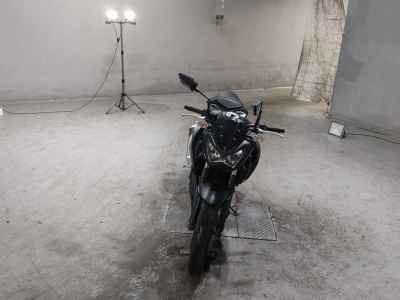 Kawasaki Z250 2016