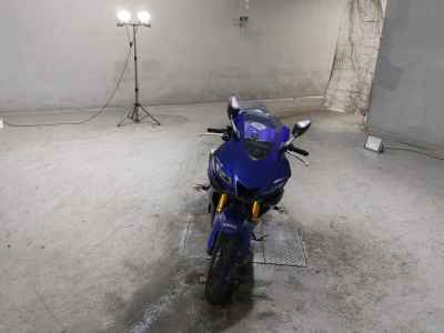 Yamaha YZF-R3 2019