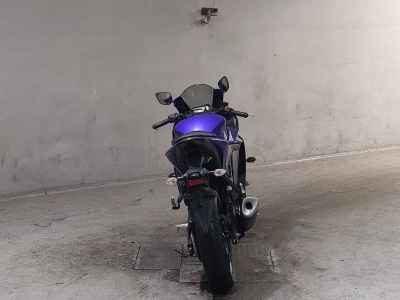 Yamaha YZF-R3 2019