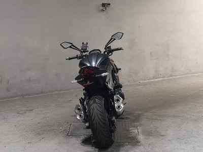 Kawasaki Z1000 2019
