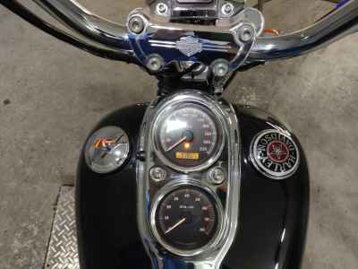Harley-Davidson FXDL 2005