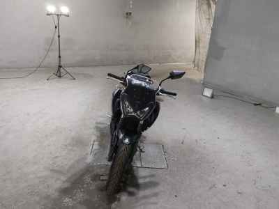 Kawasaki Z250 2015