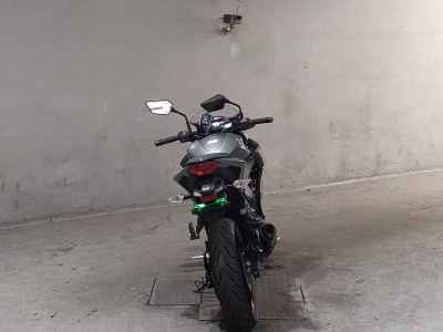 Kawasaki Z250 2015