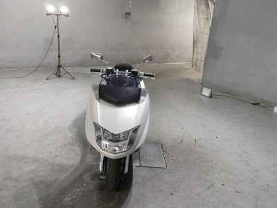 Yamaha Maxam 250 2005