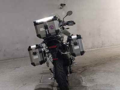 Triumph Tiger 900 Rally Pro 2023