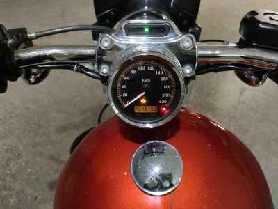 Harley-Davidson Sportster Custom XL1200C 2013