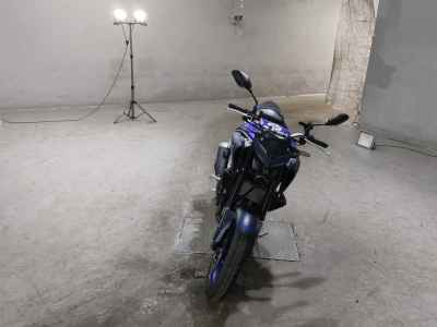 Yamaha MT-25 2024