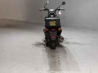 Honda PS250 Big Ruckus 2006