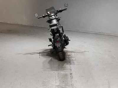 Husqvarna Svartpilen 401 2022