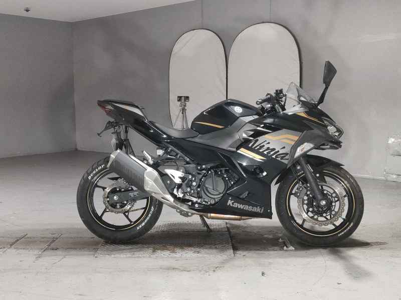 Kawasaki Ninja 250 2020