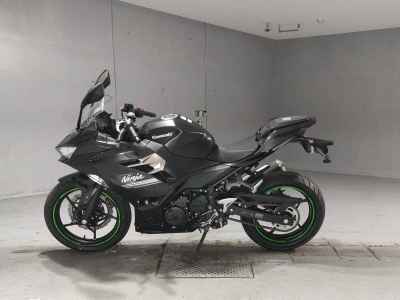 Kawasaki Ninja 250 2022