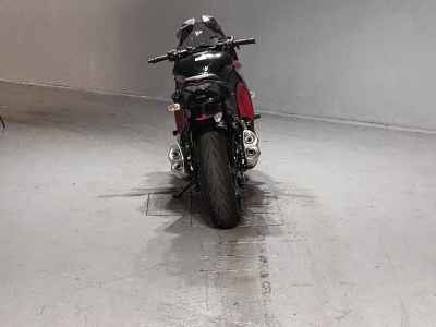 Kawasaki Ninja 1000 2015