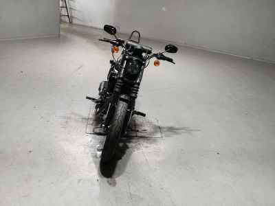 Harley-Davidson XL883N 2017