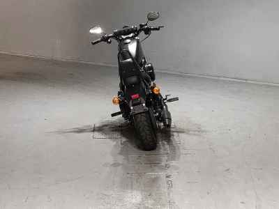 Harley-Davidson XL883N 2017