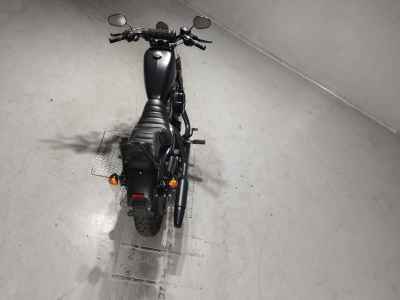 Harley-Davidson XL883N 2017