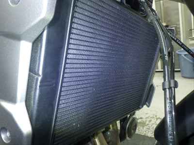 Triumph Trident 660 2026