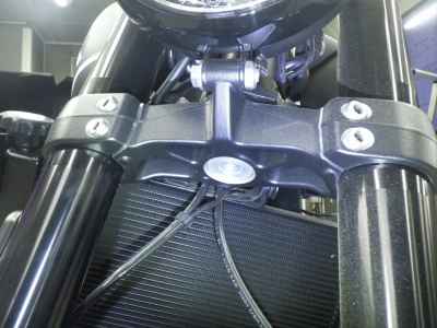 Triumph Trident 660 2026