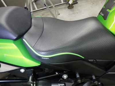 Kawasaki Ninja 1000 2014