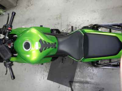 Kawasaki Ninja 1000 2014