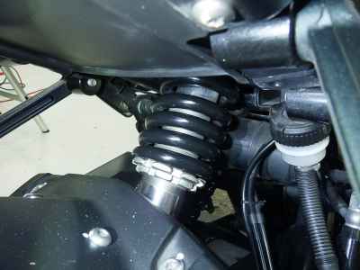 Benelli Leoncino 250 2022