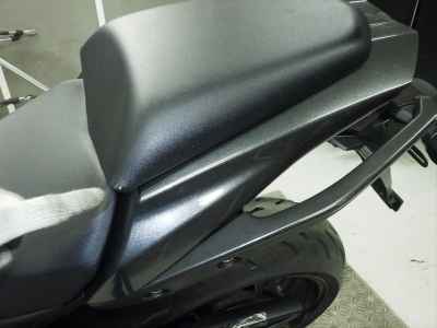 Kawasaki Ninja 1000 2015