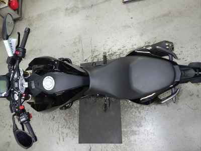 BMW G310R 2024