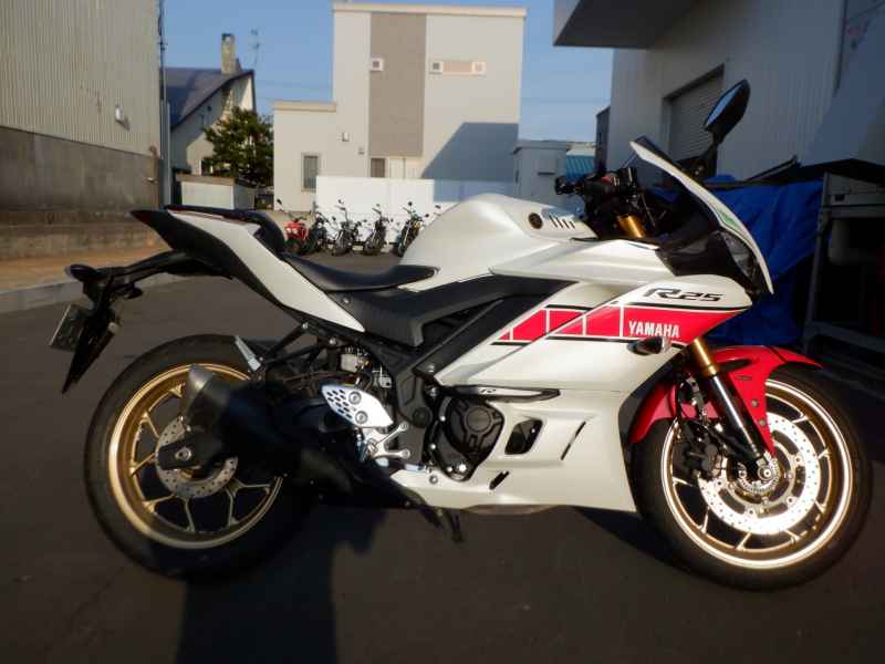 Yamaha YZF-R25 2022