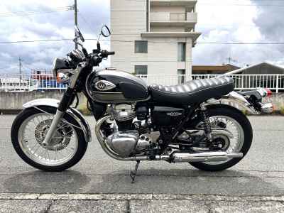 Kawasaki W800 2024